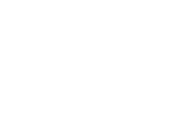 Phantom Services LLC